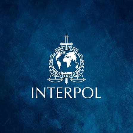 İnterpol Kaydı Sildirme